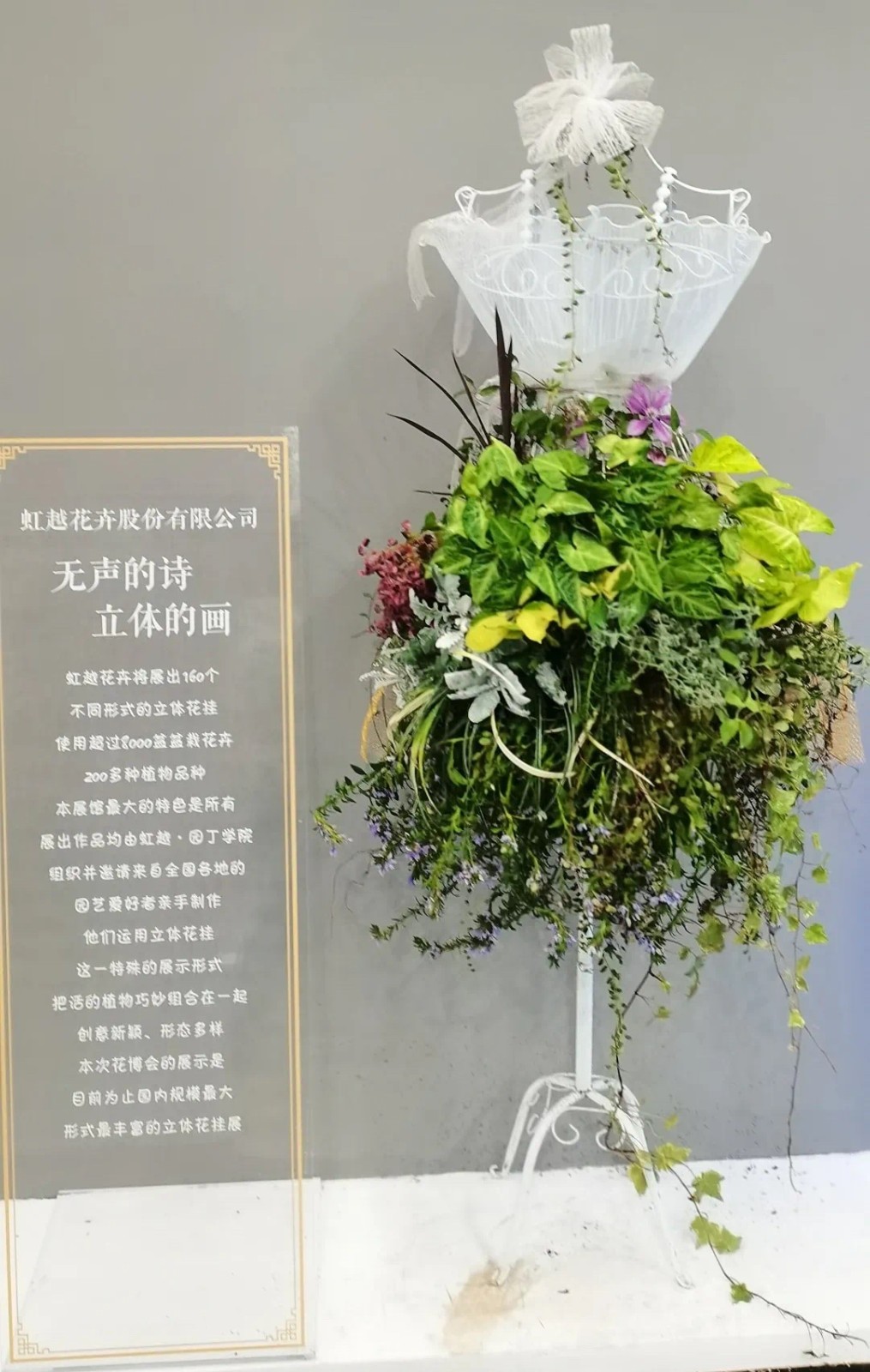 第10届花博会，，，，，，亚美国际喜获11项大奖！-新闻资讯-亚美国际