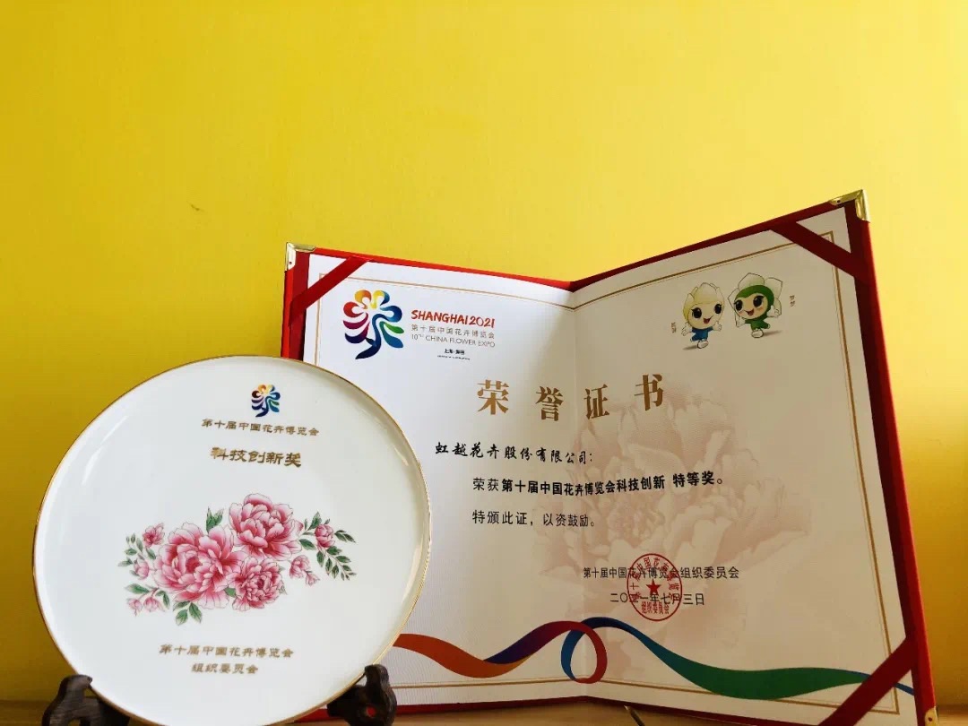 第10届花博会，，，，，，亚美国际喜获11项大奖！-新闻资讯-亚美国际